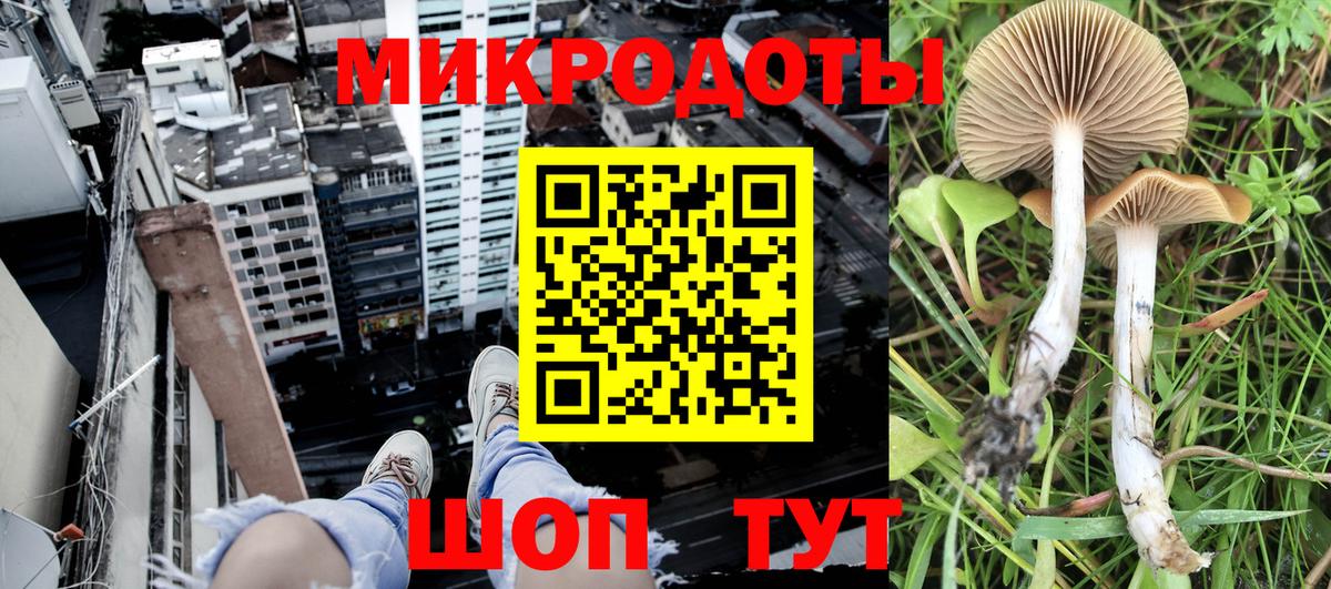 Галлюциногенные грибы Psilocybine cubensis  Галлюциногенные грибы ЛСД  Ейск  Вход с VPN 