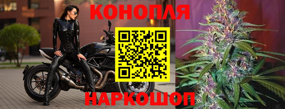 Канабис план Ейск